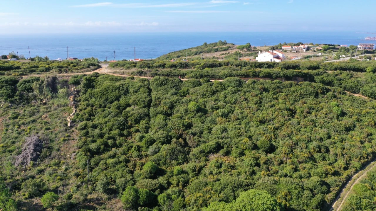 Terreno Misto para Venda em Famalicão Foto 6