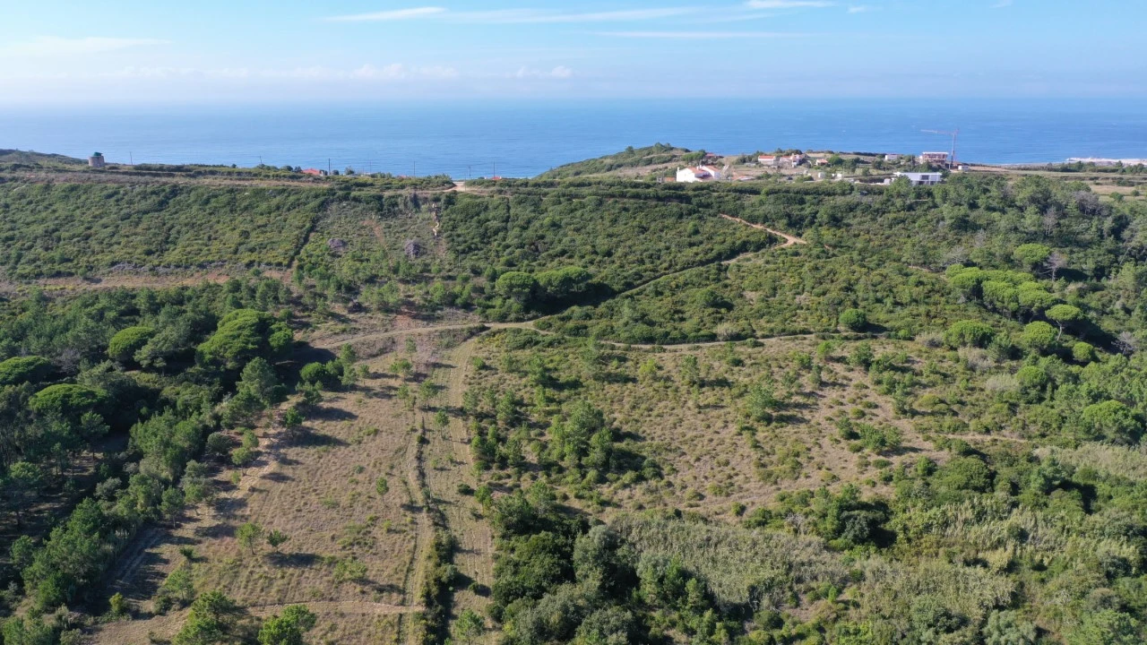 Terreno Misto para Venda em Famalicão Foto 8