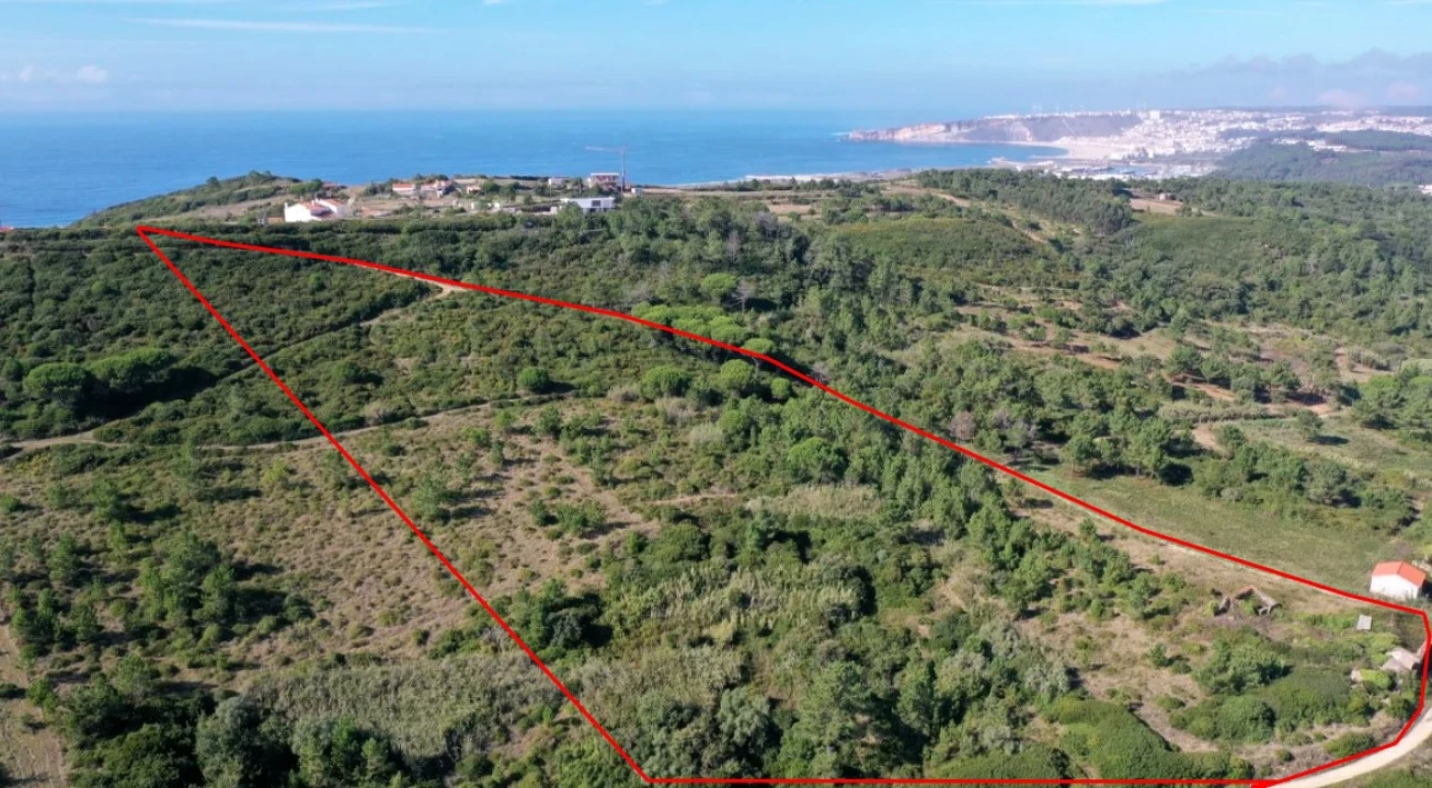 Terreno Misto para Venda em Famalicão Foto 1