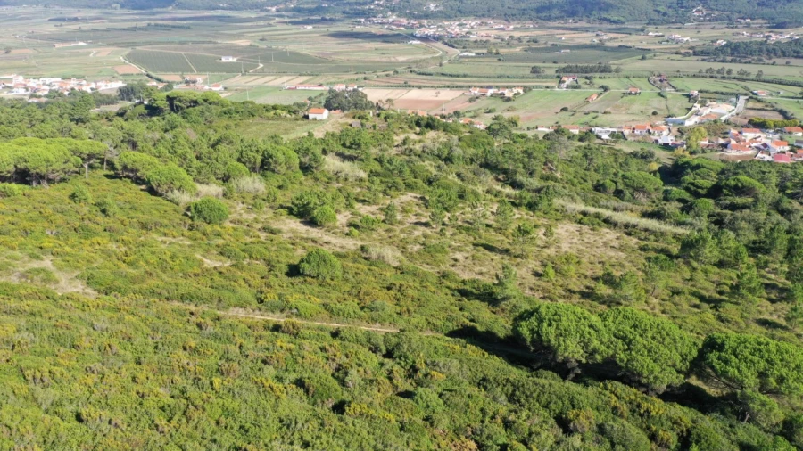 Terreno Misto para Venda em Famalicão Foto 4