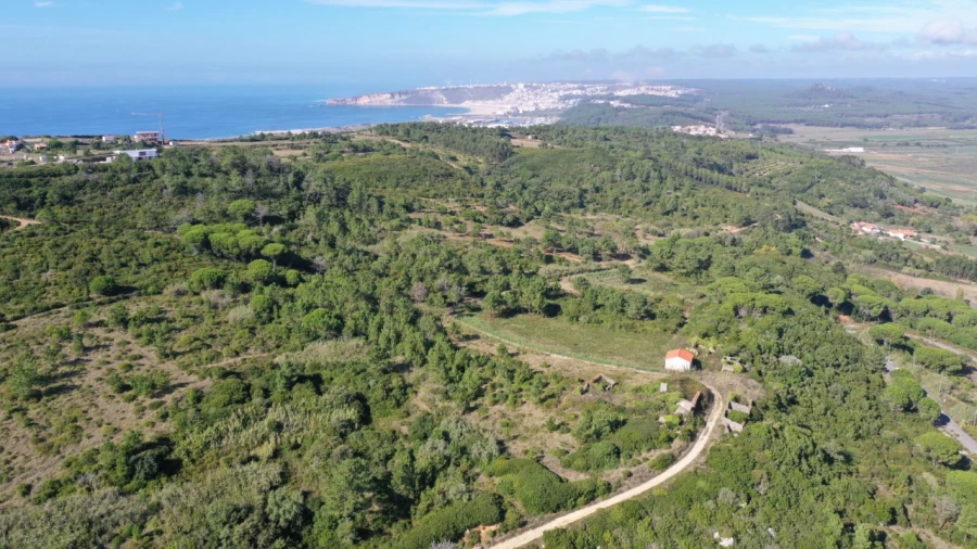 Terreno Misto para Venda em Famalicão Foto 5