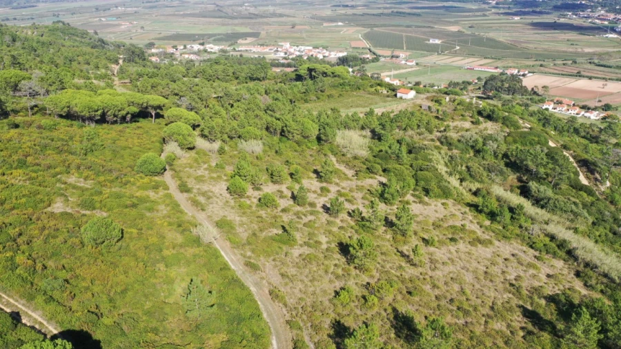 Terreno Misto para Venda em Famalicão Foto 7