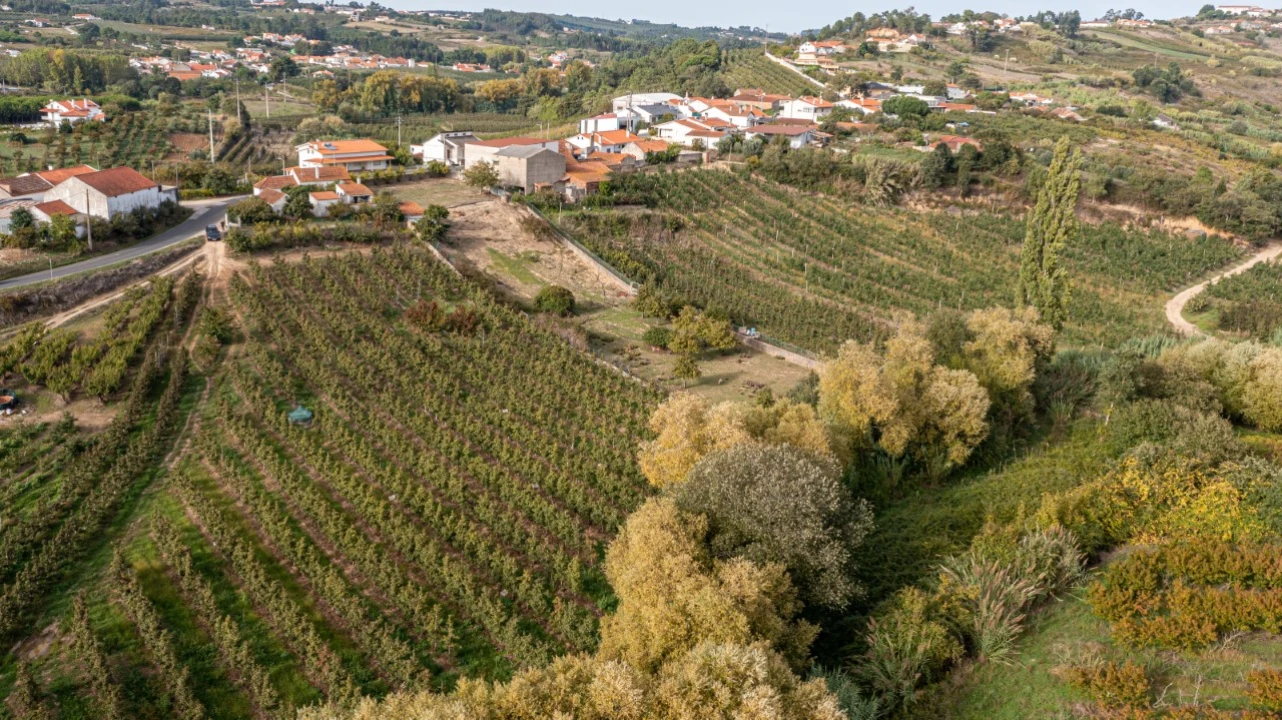 Terreno Agricola ou Rústico para Venda em Vimeiro Foto 1