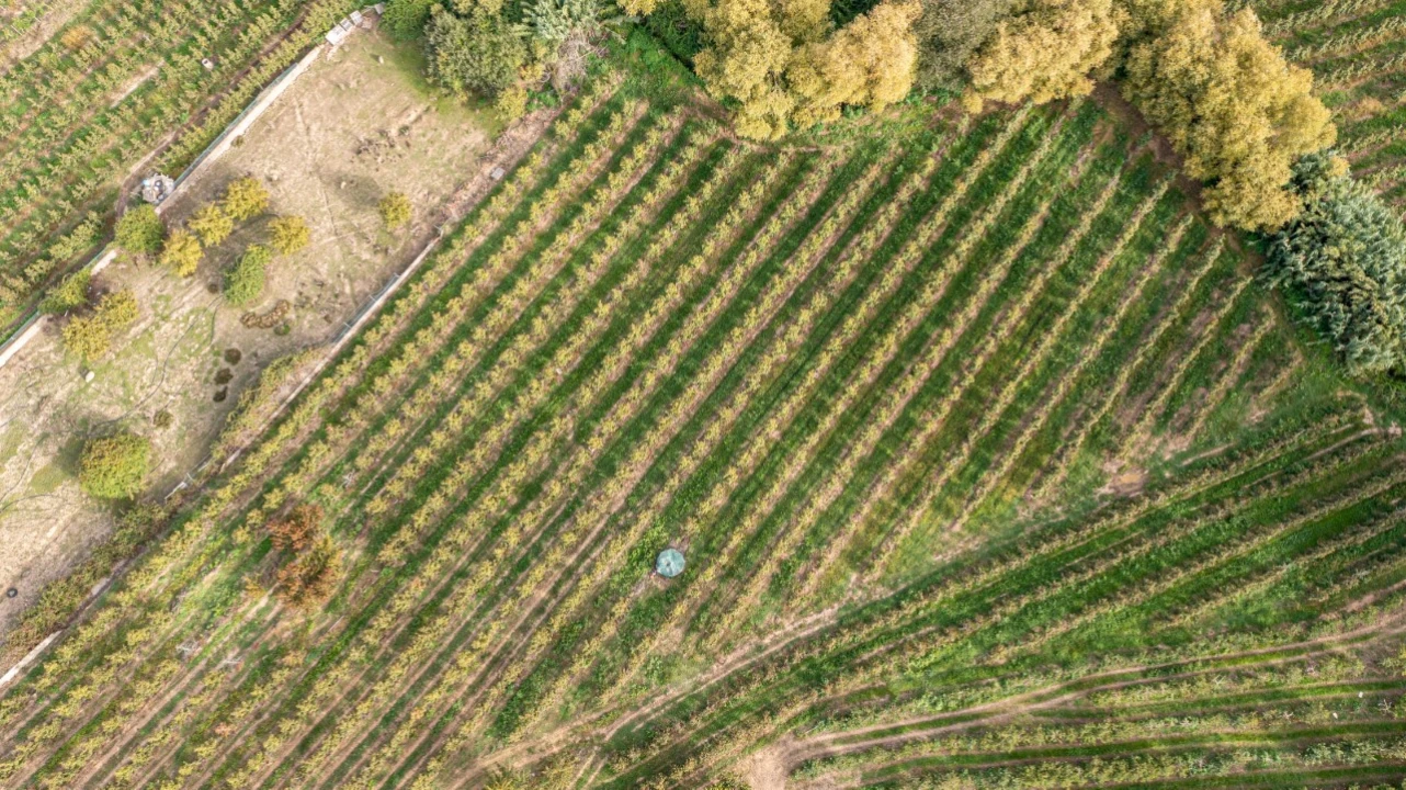 Terreno Agricola ou Rústico para Venda em Vimeiro Foto 9