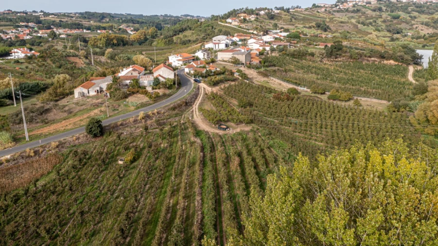 Terreno Agricola ou Rústico para Venda em Vimeiro Foto 3