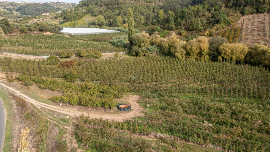 Terreno Agricola ou Rústico para Venda em Vimeiro Foto 6