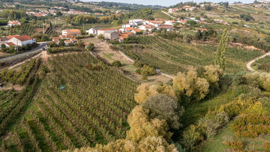 Terreno Agricola ou Rústico para Venda em Vimeiro
