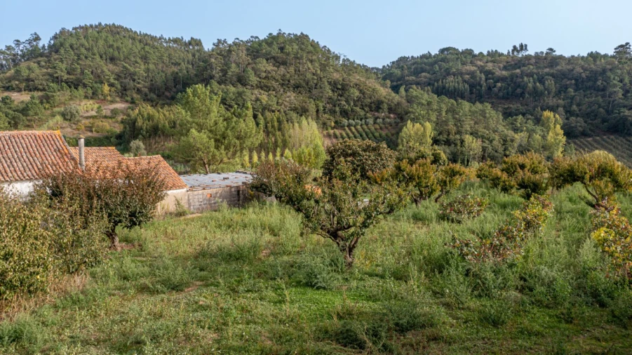 Terreno para Venda em Vimeiro Foto 8