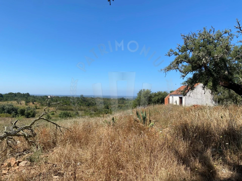 Quinta para Venda em São Francisco da Serra Foto 5
