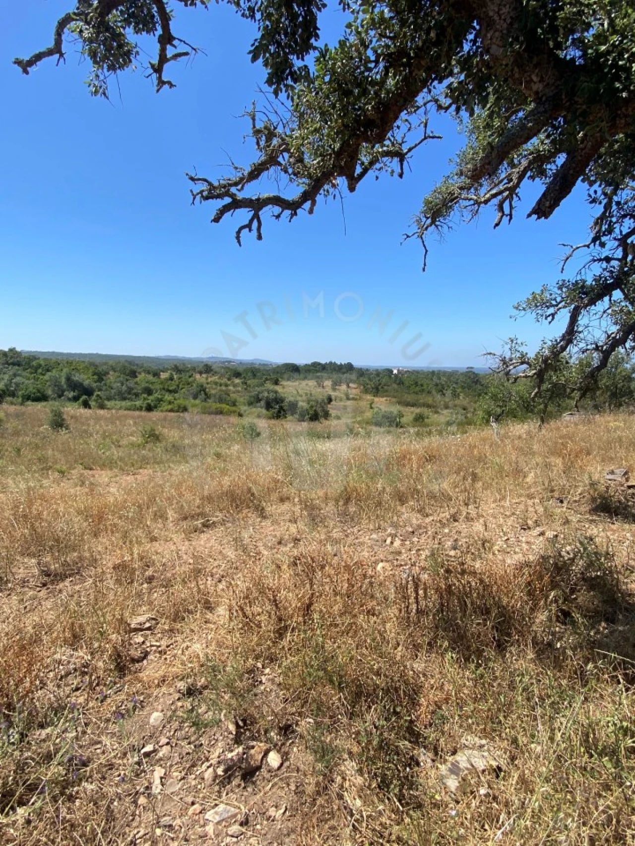 Quinta para Venda em São Francisco da Serra Foto 8