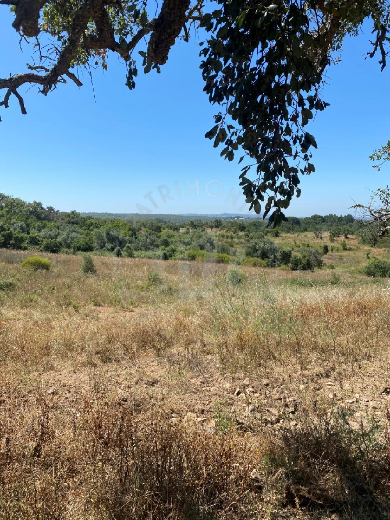 Quinta para Venda em São Francisco da Serra Foto 13