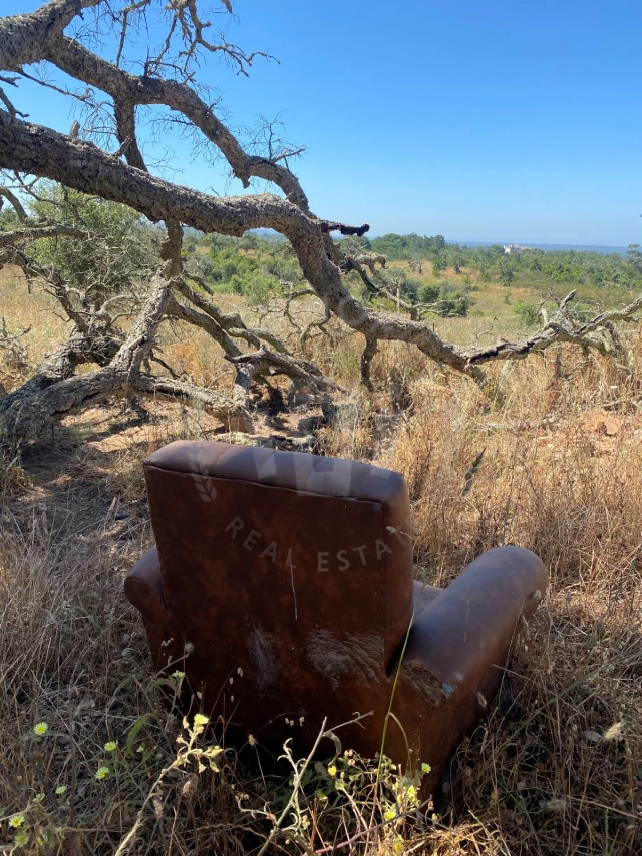 Quinta para Venda em São Francisco da Serra Foto 14