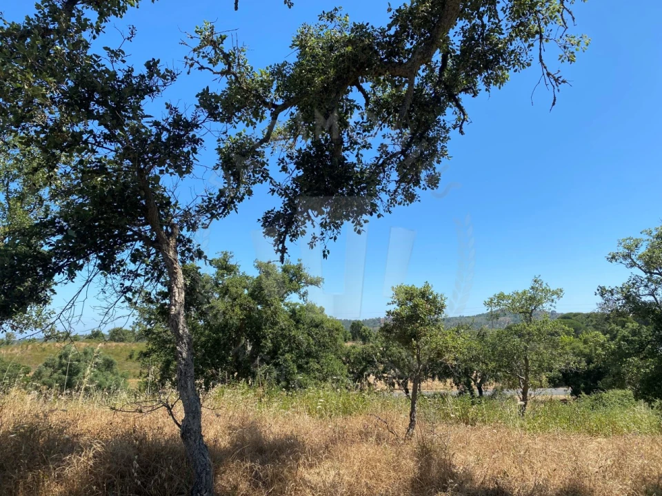 Quinta para Venda em São Francisco da Serra Foto 15