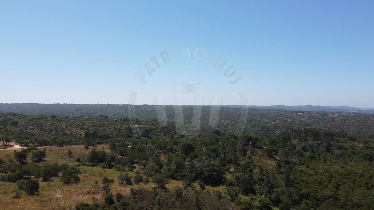 Quinta para Venda em São Francisco da Serra Foto 23