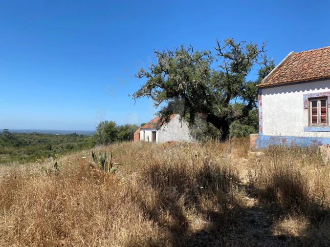 Quinta para Venda em São Francisco da Serra Foto 1