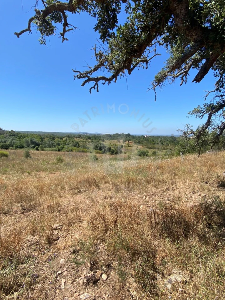 Quinta para Venda em São Francisco da Serra Foto 10