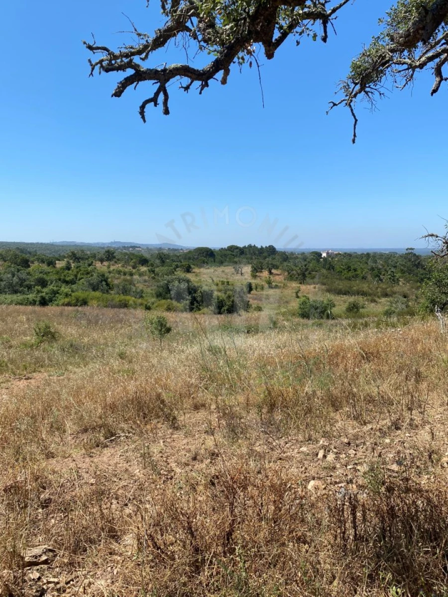 Quinta para Venda em São Francisco da Serra Foto 12