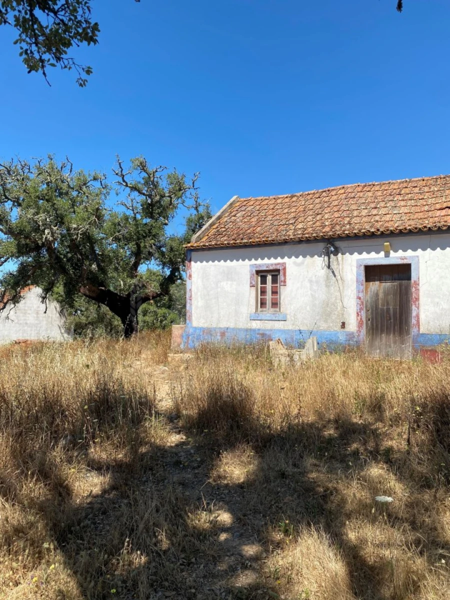 Quinta para Venda em São Francisco da Serra Foto 16