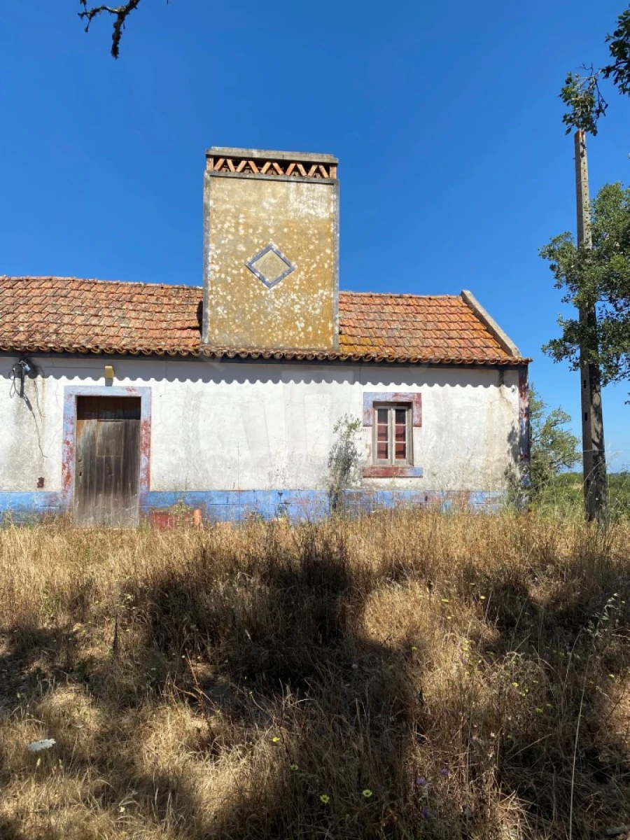 Quinta para Venda em São Francisco da Serra Foto 17