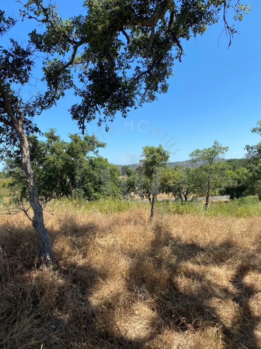 Quinta para Venda em São Francisco da Serra Foto 18