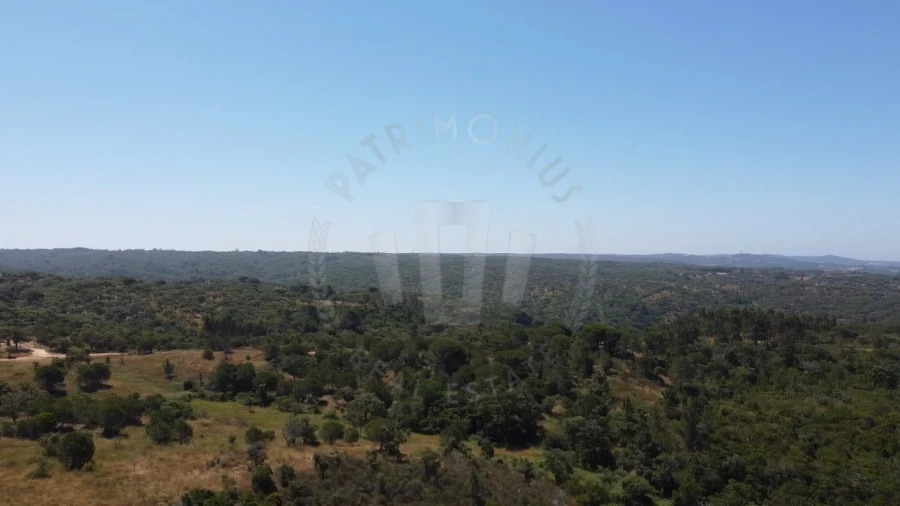 Quinta para Venda em São Francisco da Serra Foto 23