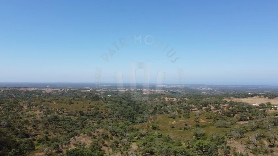 Quinta para Venda em São Francisco da Serra Foto 24