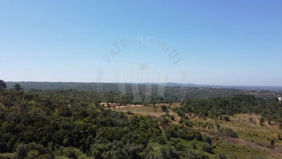 Quinta para Venda em São Francisco da Serra Foto 31