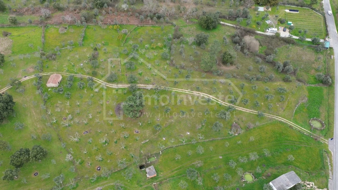 Terreno Agricola ou Rústico para Venda em Póvoa de Rio de Moinhos e Cafede Foto 3
