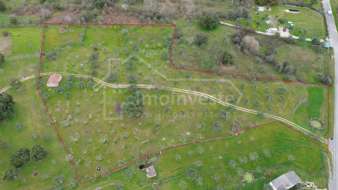 Terreno Agricola ou Rústico para Venda em Póvoa de Rio de Moinhos e Cafede Foto 1