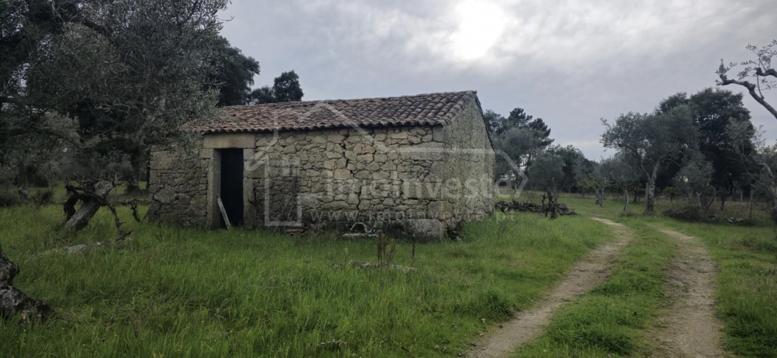 Terreno Agricola ou Rústico para Venda em Póvoa de Rio de Moinhos e Cafede Foto 2