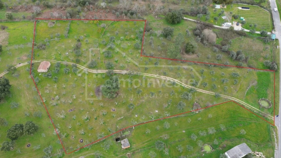 Terreno Agricola ou Rústico para Venda em Póvoa de Rio de Moinhos e Cafede