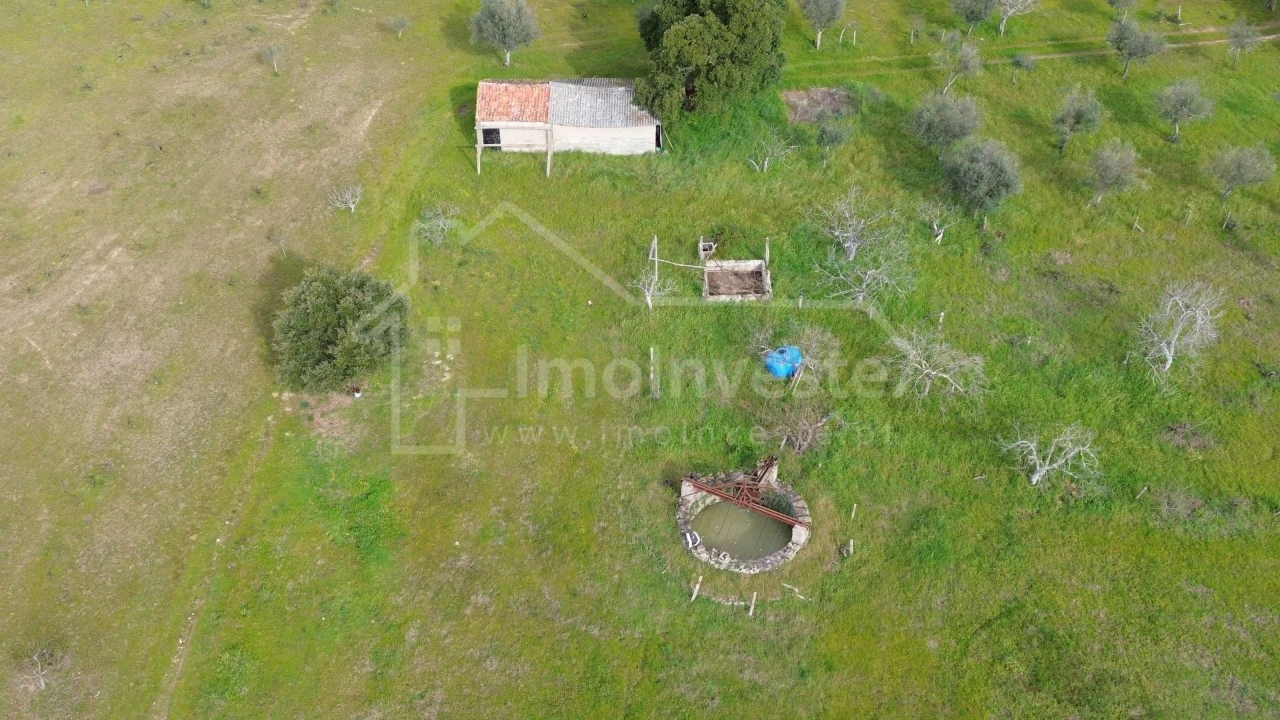 Terreno Agricola ou Rústico para Venda em Póvoa de Rio de Moinhos e Cafede Foto 6