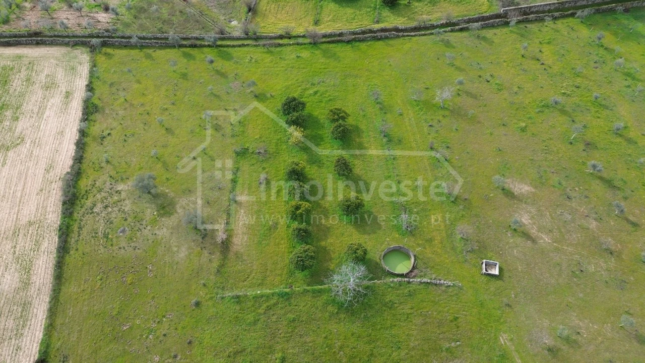 Terreno Agricola ou Rústico para Venda em Póvoa de Rio de Moinhos e Cafede Foto 5