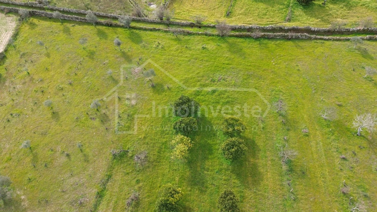 Terreno Agricola ou Rústico para Venda em Póvoa de Rio de Moinhos e Cafede Foto 8