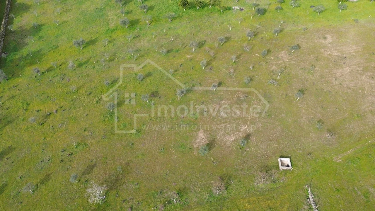 Terreno Agricola ou Rústico para Venda em Póvoa de Rio de Moinhos e Cafede Foto 9