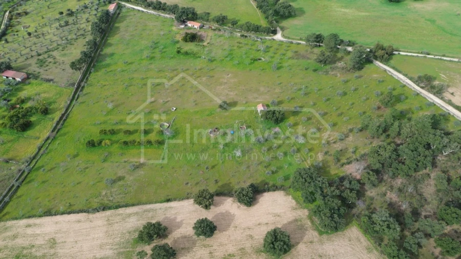 Terreno Agricola ou Rústico para Venda em Póvoa de Rio de Moinhos e Cafede Foto 3