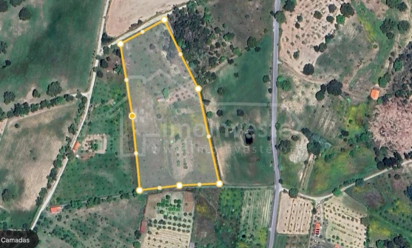 Terreno Agricola ou Rústico para Venda em Póvoa de Rio de Moinhos e Cafede Foto 11