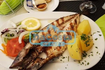 Negócio para Trespasse em Albufeira e Olhos de Água