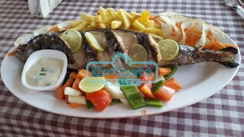 Negócio para Trespasse em Albufeira e Olhos de Água