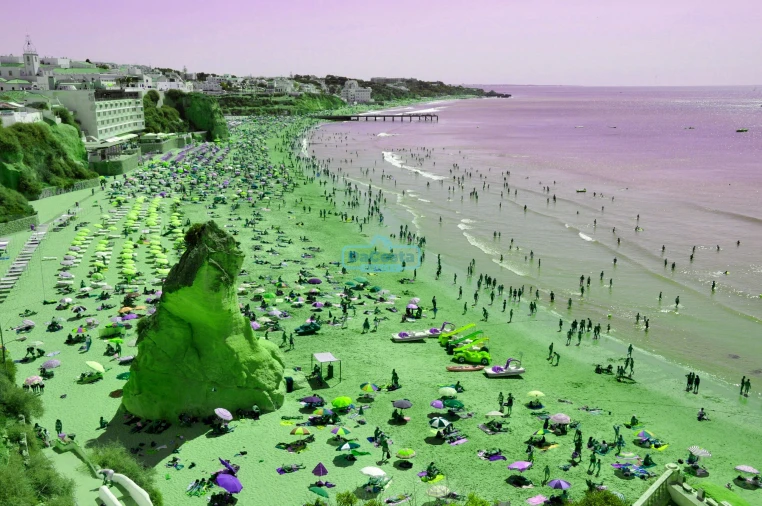 Negócio para Trespasse em Albufeira e Olhos de Água Foto 29