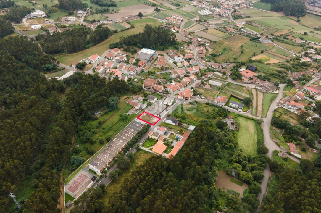 Terreno para Venda em São Pedro Fins Foto 16