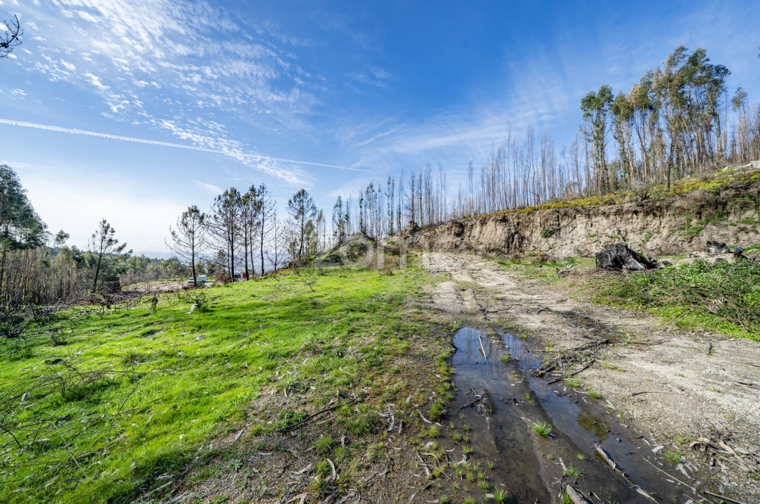 Terreno para Venda em São João de Rei Foto 10