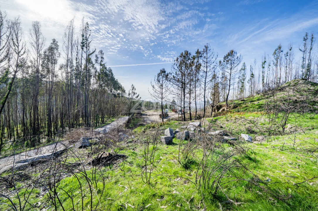 Terreno para Venda em São João de Rei Foto 11