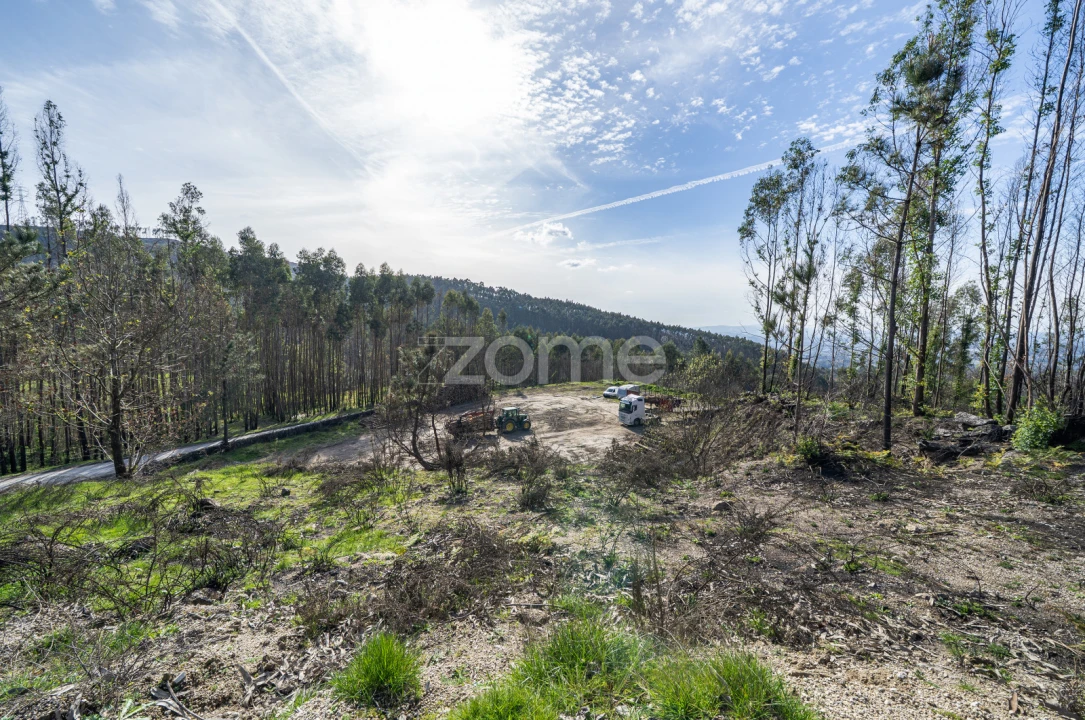 Terreno para Venda em São João de Rei Foto 12
