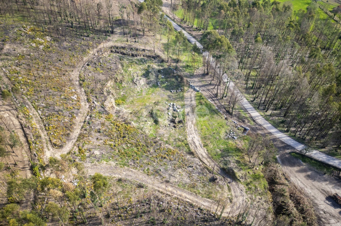 Terreno para Venda em São João de Rei Foto 15