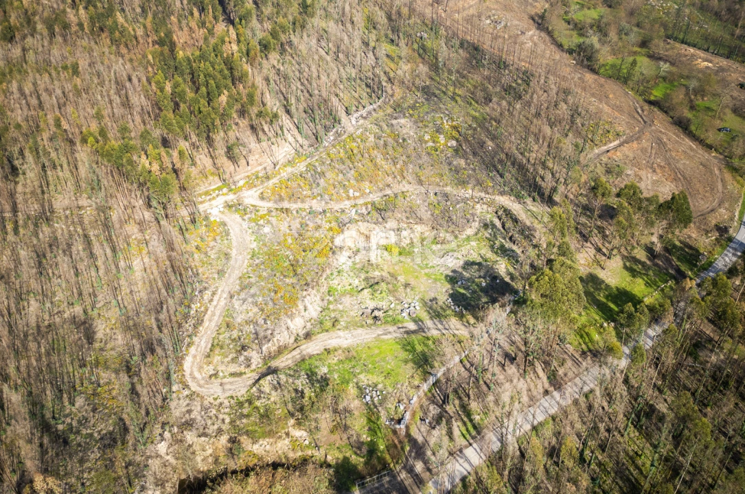 Terreno para Venda em São João de Rei Foto 20