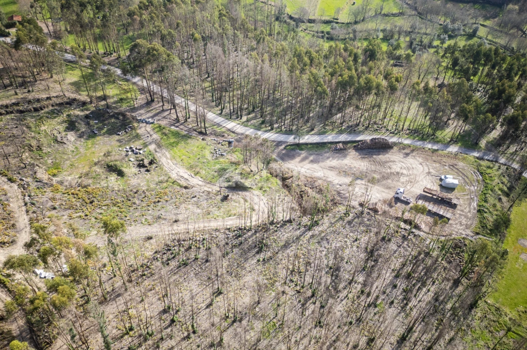 Terreno para Venda em São João de Rei Foto 21