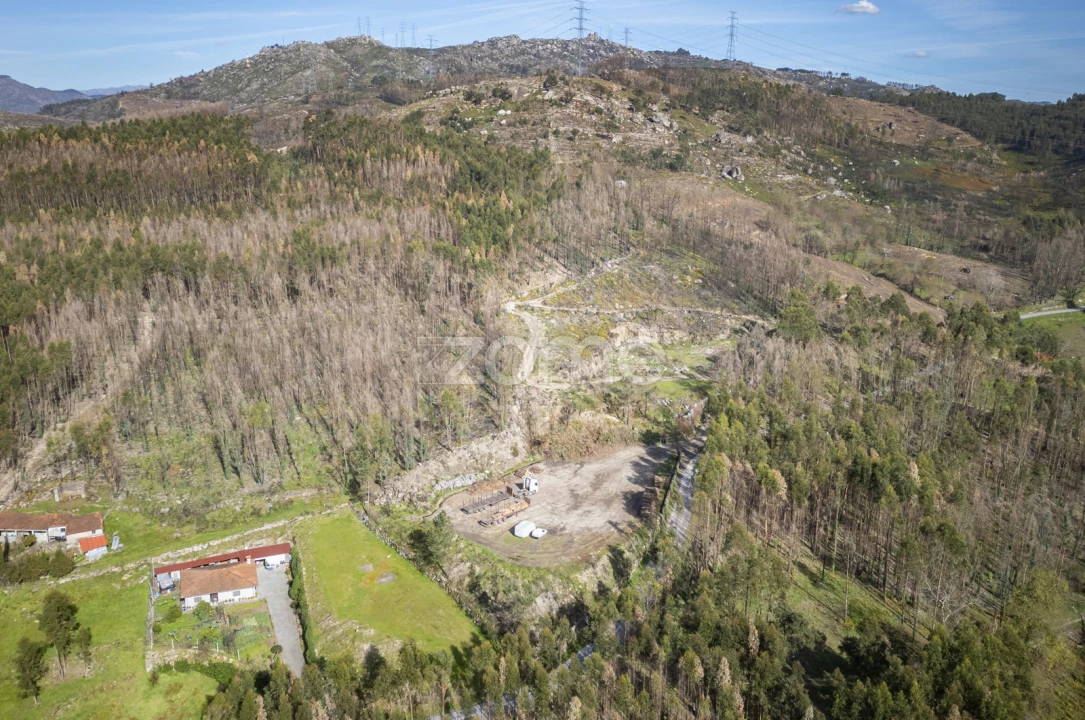 Terreno para Venda em São João de Rei Foto 18