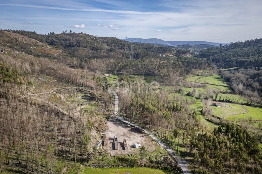 Terreno para Venda em São João de Rei Foto 3
