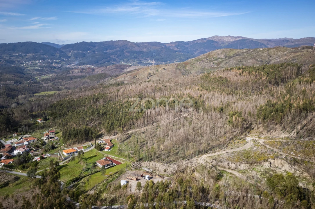 Terreno para Venda em São João de Rei Foto 5